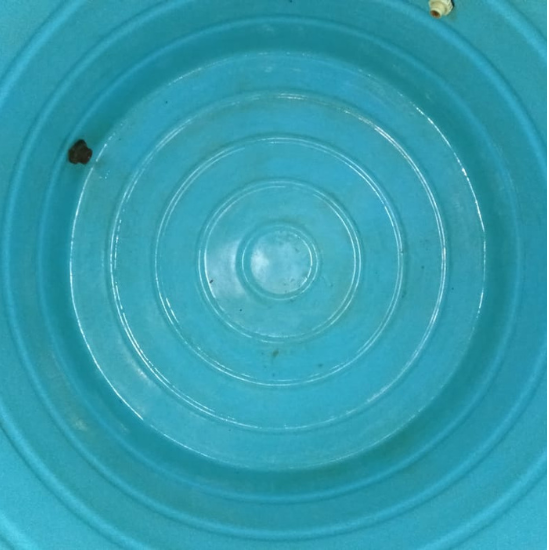 Domestic water tank cleaning after cleaned